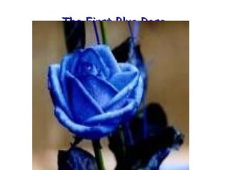 The First Blue RoseThe First Blue Rose
 