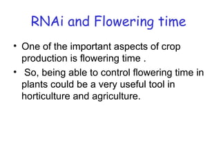 RNAi and Flowering time
• One of the important aspects of crop
production is flowering time .
• So, being able to control flowering time in
plants could be a very useful tool in
horticulture and agriculture.
 