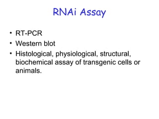 RNAi Assay
• RT-PCR
• Western blot
• Histological, physiological, structural,
biochemical assay of transgenic cells or
animals.
 