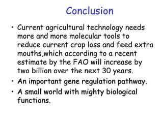 Conclusion
• Current agricultural technology needs
more and more molecular tools to
reduce current crop loss and feed extra
mouths,which according to a recent
estimate by the FAO will increase by
two billion over the next 30 years.
• An important gene regulation pathway.An important gene regulation pathway.
• A small world with mighty biologicalA small world with mighty biological
functions.functions.
 