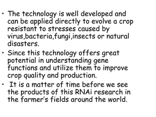• The technology is well developed and
can be applied directly to evolve a crop
resistant to stresses caused by
virus,bacteria,fungi,insects or natural
disasters.
• Since this technology offers great
potential in understanding gene
functions and utilize them to improve
crop quality and production.
• It is a matter of time before we see
the products of this RNAi research in
the farmer’s fields around the world.
 