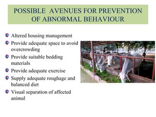 POSSIBLE AVENUES FOR PREVENTION
OF ABNORMAL BEHAVIOUR
Altered housing management
Provide adequate space to avoid
overcrowding
Provide suitable bedding
materials
Provide adequate exercise
Supply adequate roughage and
balanced diet
Visual separation of affected
animal
 