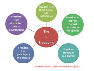 (Brambell Report, 1965, revised by FAWC(1993)
 