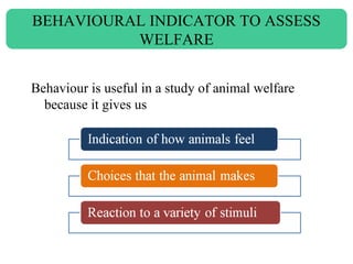 Behaviour is useful in a study of animal welfare
because it gives us
BEHAVIOURAL INDICATOR TO ASSESS
WELFARE
 