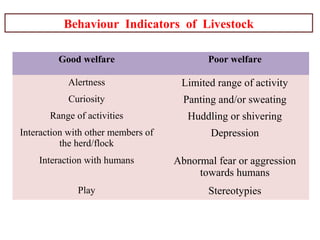 Good welfare Poor welfare
Alertness Limited range of activity
Curiosity Panting and/or sweating
Range of activities Huddling or shivering
Interaction with other members of
the herd/flock
Depression
Interaction with humans Abnormal fear or aggression
towards humans
Play Stereotypies
Behaviour Indicators of Livestock
 