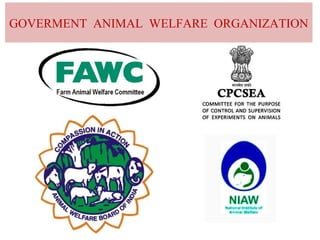 GOVERMENT ANIMAL WELFARE ORGANIZATION
 
