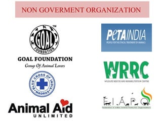 NON GOVERMENT ORGANIZATION
 