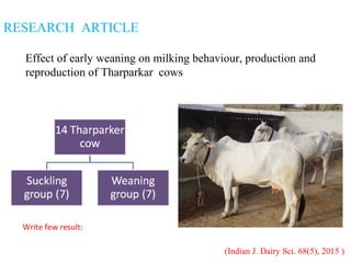 Effect of early weaning on milking behaviour, production and
reproduction of Tharparkar cows
(Indian J. Dairy Sci. 68(5), 2015 )
RESEARCH ARTICLE
Write few result:
 