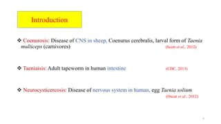 tapeworm infection | PPTX
