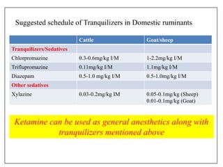 Cattle Goat/sheep
Tranquilizers/Sedatives
Chlorpromazine 0.3-0.6mg/kg I/M 1-2.2mg/kg I/M
Triflupromazine 0.11mg/kg I/M 1.1mg/kg I/M
Diazepam 0.5-1.0 mg/kg I/M 0.5-1.0mg/kg I/M
Other sedatives
Xylazine 0.03-0.2mg/kg IM 0.05-0.1mg/kg (Sheep)
0.01-0.1mg/kg (Goat)
Suggested schedule of Tranquilizers in Domestic ruminants
Ketamine can be used as general anesthetics along with
tranquilizers mentioned above
 