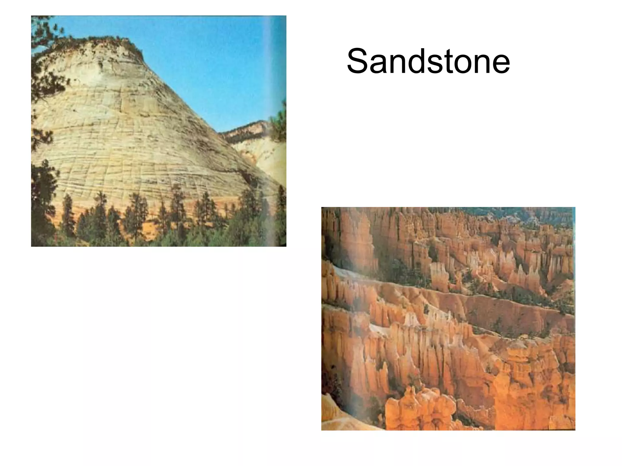 Limestone with fossils