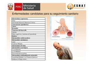 Enfermedades candidatas para su seguimiento sanitario
Hospital Nacional Arzobispo Loayza
 
