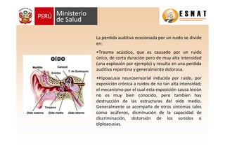 La perdida auditiva ocasionada por un ruido se divide
en:
•Trauma acústico, que es causado por un ruido
único, de corta duración pero de muy alta intensidad
(una explosión por ejemplo) y resulta en una perdida
auditiva repentina y generalmente dolorosa.
•Hipoacusia neurosensorial inducida por ruido, por
exposición crónica a ruidos de no tan alta intensidad;
el mecanismo por el cual esta exposición causa lesión
no es muy bien conocido, pero tambien hay
destrucción de las estructuras del oído medio.
Generalmente se acompaña de otros sintomas tales
como acúfenos, disminución de la capacidad de
discriminación, distorsión de los sonidos o
diploacusias.
 