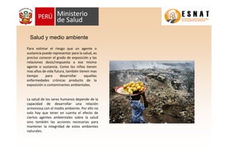 Para estimar el riesgo que un agente o
sustancia puede representar para la salud, es
preciso conocer el grado de exposición y las
relaciones dosis/respuesta a ese mismo
agente o sustancia. Como los niños tienen
mas años de vida futura, también tienen mas
tiempo para desarrollar aquellas
enfermedades crónicas producto de la
exposición a contaminantes ambientales.
La salud de los seres humanos depende de la
capacidad de desarrollar una relación
armoniosa con el medio ambiente. Por ello no
solo hay que tener en cuenta el efecto de
ciertos agentes ambientales sobre la salud
sino también las acciones necesarias para
mantener la integridad de estos ambientes
naturales.
Salud y medio ambiente
 