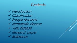 Contents
 Introduction
 Classification
 Fungal diseases
 Nematode disease
 Viral disease
 Research paper
 Reference
 