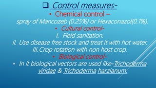 Control measures-
• Chemical control –
spray of Mancozeb (0.25%) or Hexaconazol(0.1%).
• Cultural control-
I. Field sanitation.
II. Use disease free stock and treat it with hot water.
III.Crop rotation with non host crop.
• Biological control-
• In it biological vectors are used like-Trichoderma
viridae & Trichoderma harzianum.
 