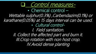  Control measures-
• Chemical control –
Wettable sulphur(0.3%) ,Carbendazim(0.1%) or
karathane(0.05%) at 15 days interval can be used.
• Cultural control-
I. Field sanitation.
II. Collect the affected part and burn it.
III.Crop rotation with non host crop.
IV.Avoid dense planting
 