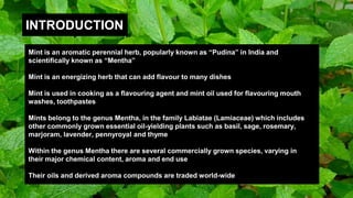 INTRODUCTION
Mint is an aromatic perennial herb, popularly known as “Pudina” in India and
scientifically known as “Mentha”
Mint is an energizing herb that can add flavour to many dishes
Mint is used in cooking as a flavouring agent and mint oil used for flavouring mouth
washes, toothpastes
Mints belong to the genus Mentha, in the family Labiatae (Lamiaceae) which includes
other commonly grown essential oil-yielding plants such as basil, sage, rosemary,
marjoram, lavender, pennyroyal and thyme
Within the genus Mentha there are several commercially grown species, varying in
their major chemical content, aroma and end use
Their oils and derived aroma compounds are traded world-wide
 