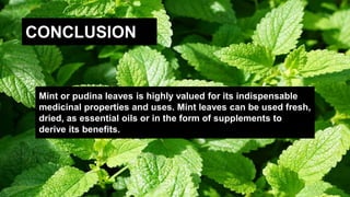 Mint or pudina leaves is highly valued for its indispensable
medicinal properties and uses. Mint leaves can be used fresh,
dried, as essential oils or in the form of supplements to
derive its benefits.
CONCLUSION
 