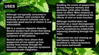 USES
Although not typically consumed in
large quantities, mint contains fair
amounts of several nutrients and is an
especially good source of vitamin A and
antioxidants.
IBS is a common digestive disorder.
Several studies have shown that taking
peppermint oil capsules improved the
symptoms of IBS patients.
Several studies have shown that
peppermint oil can speed up how
quickly food moves through the
stomach, relieving digestive symptoms
associated with indigestion.
Smelling the aroma of peppermint
oil may improve memory and
alertness, while other studies
show no effect. More research is
needed to further understand the
effects of mint on brain function.
Although menthol does not
function as a nasal decongestant,
it can provide some relief to cold
and flu symptoms by subjectively
improving breathing through the
nose.
Peppermint tea and chewing on
mint leaves may be more
beneficial in reducing bacteria
that cause bad breath.
 