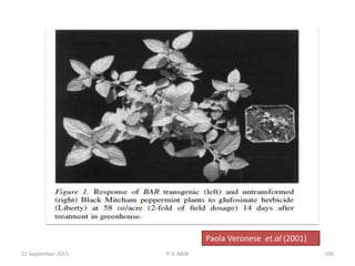 Paola Veronese et.al (2001)
22 September 2015 100P. V. NAIK
 