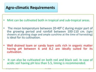 Agro-climatic Requirements
• Mint can be cultivated both in tropical and sub-tropical areas.
• The mean temperature between 20-400 C during major part of
the growing period and rainfall between 100-110 cm. (light
showers at planting stage and ample sunshine at the time of harvesting)
is ideal for its cultivation.
• Well drained loam or sandy loam soils rich in organic matter
having pH between 6 and 8.2 are ideally suited for its
cultivation.
• It can also be cultivated on both red and black soil. In case of
acidic soil having pH less than 5.5, liming is recommended.
22 September 2015 21P. V. NAIK
 