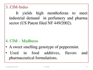 3. CIM-Indus
It yields high menthoferan to meet
industrial demand in perfumery and pharma
sector (US Patent filed NF 449/2002).
4. CIM – Madhuras
• A sweet smelling genotype of peppermint.
• Used in food additives, flavors and
pharmaceutical formulations.
22 September 2015 27P. V. NAIK
 