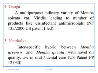4. Ganga
A multipurpose culinary variety of Mentha
spicata var. Viridis leading to number of
products like disinfectant antimicrobials (NF
135/2000 US patent filed).
5. Neerkalka
Inter-specific hybrid between Mentha
arvensis and Mentha spicata with novel oil
quality, use in oral / dental care (US Patent PP
12,030).
22 September 2015 33P. V. NAIK
 