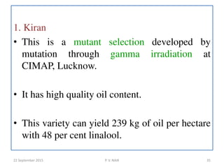 1. Kiran
• This is a mutant selection developed by
mutation through gamma irradiation at
CIMAP, Lucknow.
• It has high quality oil content.
• This variety can yield 239 kg of oil per hectare
with 48 per cent linalool.
22 September 2015 35P. V. NAIK
 