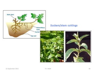 22 September 2015 P. V. NAIK 39
 