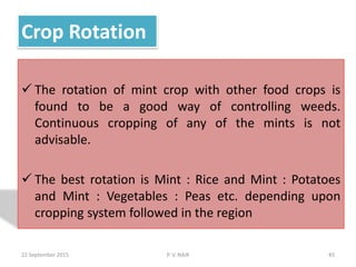 Crop Rotation
 The rotation of mint crop with other food crops is
found to be a good way of controlling weeds.
Continuous cropping of any of the mints is not
advisable.
 The best rotation is Mint : Rice and Mint : Potatoes
and Mint : Vegetables : Peas etc. depending upon
cropping system followed in the region
22 September 2015 45P. V. NAIK
 