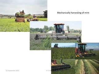 22 September 2015 P. V. NAIK 50
Mechanically harvesting of mint
 