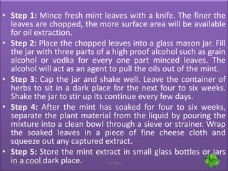 • Step 1: Mince fresh mint leaves with a knife. The finer the
leaves are chopped, the more surface area will be available
for oil extraction.
• Step 2: Place the chopped leaves into a glass mason jar. Fill
the jar with three parts of a high proof alcohol such as grain
alcohol or vodka for every one part minced leaves. The
alcohol will act as an agent to pull the oils out of the mint.
• Step 3: Cap the jar and shake well. Leave the container of
herbs to sit in a dark place for the next four to six weeks.
Shake the jar to stir up its continue every few days.
• Step 4: After the mint has soaked for four to six weeks,
separate the plant material from the liquid by pouring the
mixture into a clean bowl through a sieve or strainer. Wrap
the soaked leaves in a piece of fine cheese cloth and
squeeze out any captured extract.
• Step 5: Store the mint extract in small glass bottles or jars
in a cool dark place. 6622 September 2015 P. V. NAIK
 