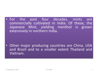 • For the past four decades, mints are
commercially cultivated in India. Of these, the
Japanese Mint, yielding menthol is grown
extensively in northern India.
• Other major producing countries are China. USA
and Brazil and to a smaller extent Thailand and
Vietnam.
22 September 2015 7P. V. NAIK
 