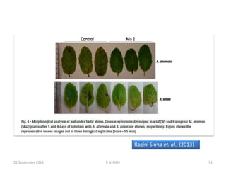Ragini Sinha et. al., (2013)
22 September 2015 91P. V. NAIK
 