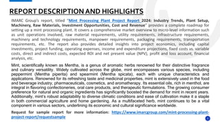Mint processing plant project report.pptx