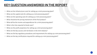 Mint processing plant project report.pptx