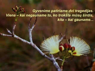 Gyvenime patiriame dvi tragedijas. Viena – kai negauname to, ko trokšta mūsų širdis, kita – kai gauname... 
