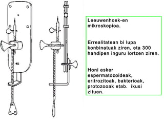 Leeuwenhoek-en
mikroskopioa.
Errealitatean bi lupa
konbinatuak ziren, eta 300
handipen inguru lortzen ziren.
Honi esker
espermatozoideak,
eritrozitoak, bakterioak,
protozooak etab. ikusi
zituen.
 