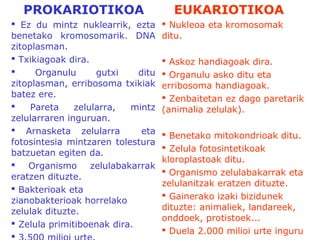  Ez du mintz nuklearrik, ezta
benetako kromosomarik. DNA
zitoplasman.
 Txikiagoak dira.
 Organulu gutxi ditu
zitoplasman, erribosoma txikiak
batez ere.
 Pareta zelularra, mintz
zelularraren inguruan.
 Arnasketa zelularra eta
fotosintesia mintzaren tolestura
batzuetan egiten da.
 Organismo zelulabakarrak
eratzen dituzte.
 Bakterioak eta
zianobakterioak horrelako
zelulak dituzte.
 Zelula primitiboenak dira.

 Nukleoa eta kromosomak
ditu.
 Askoz handiagoak dira.
 Organulu asko ditu eta
erribosoma handiagoak.
 Zenbaitetan ez dago paretarik
(animalia zelulak).
 Benetako mitokondrioak ditu.
 Zelula fotosintetikoak
kloroplastoak ditu.
 Organismo zelulabakarrak eta
zelulanitzak eratzen dituzte.
 Gainerako izaki bizidunek
dituzte: animaliek, landareek,
onddoek, protistoek...
 Duela 2.000 milioi urte inguru
PROKARIOTIKOA EUKARIOTIKOA
 