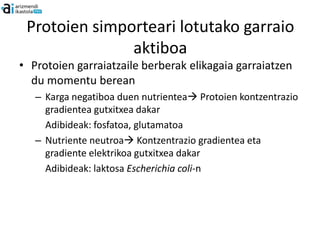 Protoien simporteari lotutako garraio
               aktiboa
• Protoien garraiatzaile berberak elikagaia garraiatzen
  du momentu berean
   – Karga negatiboa duen nutrientea Protoien kontzentrazio
     gradientea gutxitxea dakar
     Adibideak: fosfatoa, glutamatoa
   – Nutriente neutroa Kontzentrazio gradientea eta
     gradiente elektrikoa gutxitxea dakar
     Adibideak: laktosa Escherichia coli-n
 
