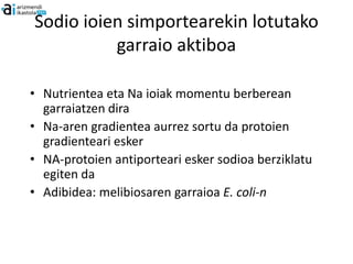 Sodio ioien simportearekin lotutako
          garraio aktiboa

• Nutrientea eta Na ioiak momentu berberean
  garraiatzen dira
• Na-aren gradientea aurrez sortu da protoien
  gradienteari esker
• NA-protoien antiporteari esker sodioa berziklatu
  egiten da
• Adibidea: melibiosaren garraioa E. coli-n
 