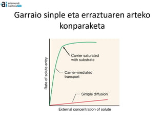 Garraio sinple eta erraztuaren arteko
            konparaketa
 