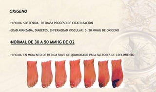 OXIGENO
•HIPOXIA SOSTENIDA RETRASA PROCESO DE CICATRIZACIÓN
•EDAD AVANZADA, DIABETES, ENFERMEDAD VASCULAR: 5- 20 MMHG DE OXIGENO
•NORMAL DE 30 A 50 MMHG DE O2
•HIPOXIA EN MOMENTO DE HERIDA SIRVE DE QUIMIOTAXIS PARA FACTORES DE CRECIMIENTO
 
