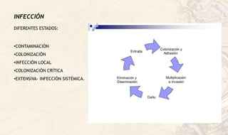 INFECCIÓN
DIFERENTES ESTADOS:
•CONTAMINACIÓN
•COLONIZACIÓN
•INFECCIÓN LOCAL
•COLONIZACIÓN CRÍTICA
•EXTENSIVA- INFECCIÓN SISTÉMICA.
 