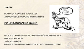 STRESS
DISMINUCIÓN DE CAPACIDAD DE REPARACIÓN
ALTERACIÓN DE EJE HIPOTALAMO-HIPOFISIS-ADRENAL
EJE NEUROENDOCRINO INMUNE.
LOS GLUCOCORTICOIDES INFLUYEN EN LA REGULACIÓN INFLAMATORIA INICIAL
DÉFICIT EN LA NUTRICIÓN.
SUEÑO NO REPARADOR.
POCO EJERCICIOS Y PROPENSIÓN ABUSO DE ALCOHOL, TABÁQUICOS Y OTRAS.
 