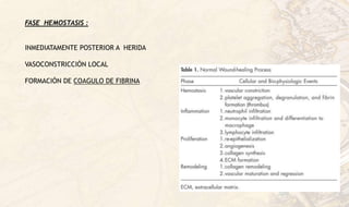 FASE HEMOSTASIS :
INMEDIATAMENTE POSTERIOR A HERIDA
VASOCONSTRICCIÓN LOCAL
FORMACIÓN DE COAGULO DE FIBRINA
 