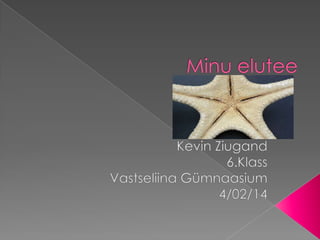 Minu elutee