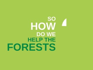 SO HOW DO WE HELP THE FORESTS ? 
