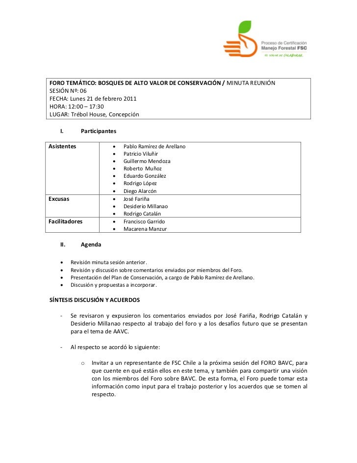 ejemplos de minutas de reuniones